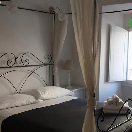 B&B Discovery